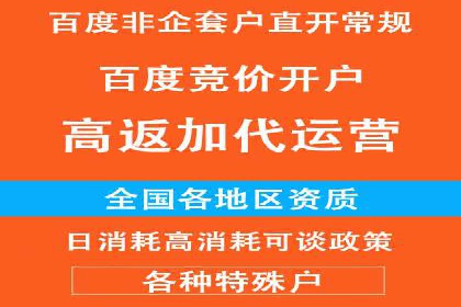 网络营销实战：成功竞价推广案例分析